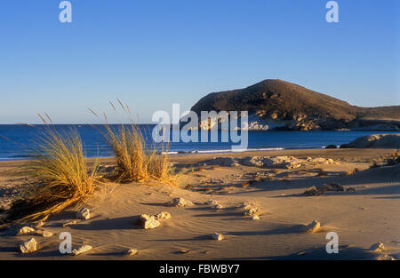 `Ensenada de los Genoveses´ cove.Cabo de Gata-Nijar Natural Park. Biosphere Reserve, Almeria province, Andalucia, Spain Stock Photo